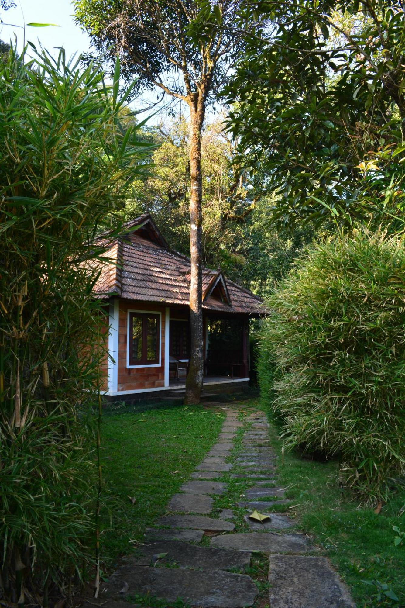Misty Woods Resort Kakkabe Pokoj fotografie