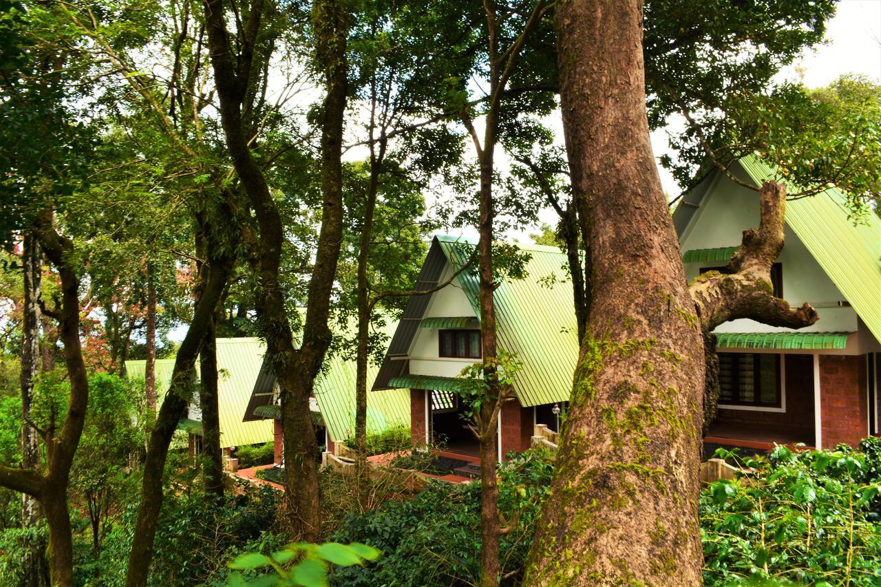 Misty Woods Resort Kakkabe Exteriér fotografie